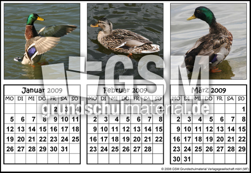 Quartalskalender-Stockenten_1.jpg